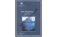 نشریه 212-مدیریت بدهی های بخش عمومی سید رحمت الله اکرمی انتشارات سازمان حسابرسی
